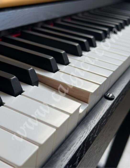 Arsenberg ADP1968B v2 Siyah Dijital Piyano (Yeni Versiyon) - 4