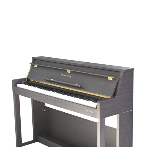 Arsenberg ADP1988R Rosewood Dijital Piyano - 6