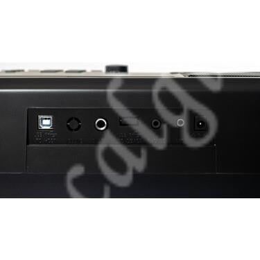 Beattron BRP1000 61 Tuş Hassasiyetli Org - 4