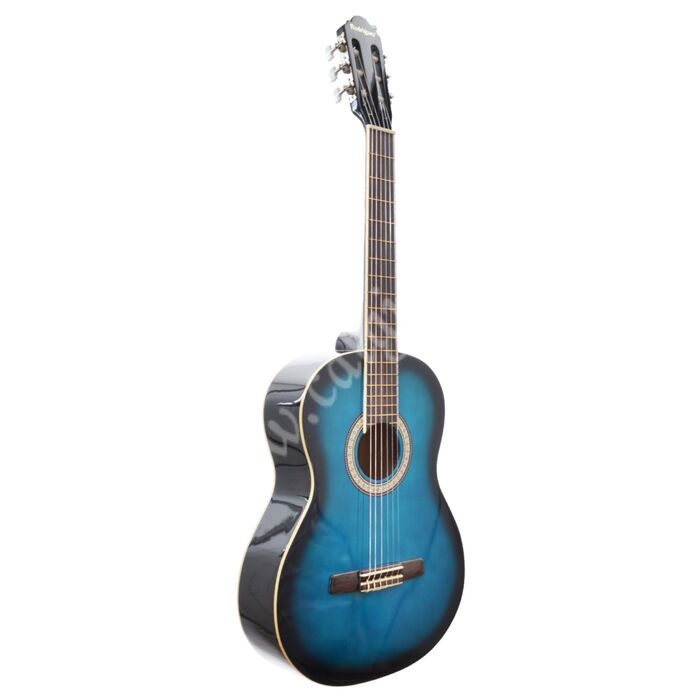 Gitar Klasik Rodriguez RC465BLS