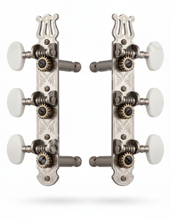 Klasik Gitar Burgu Takımı - 1